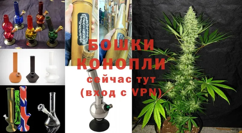 Шишки марихуана LSD WEED  MEGA ССЫЛКА  Гудермес 